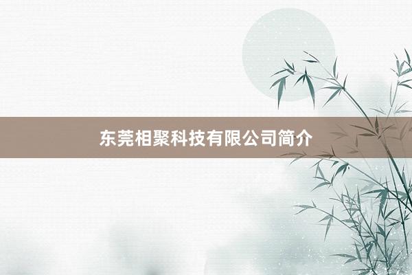 东莞相聚科技有限公司简介