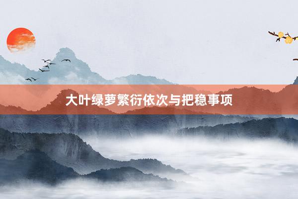 大叶绿萝繁衍依次与把稳事项