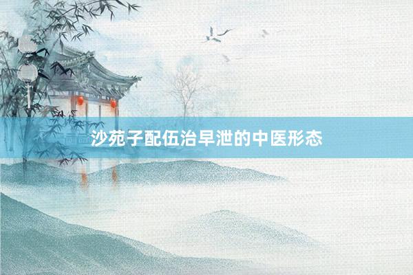 沙苑子配伍治早泄的中医形态